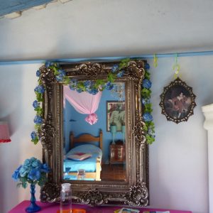 blauwespiegel-spiegel-1030x773